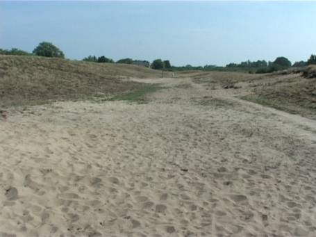 Kalkar : Ortsteil Wissel, NSG Wisseler Dünen, Flussdünenlandschaft